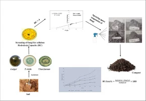 Isolation of potential cellulose-degrading fungi from soil a