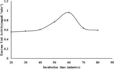 Effect of Incubation time on the activity of the crude cellulase enzyme from.