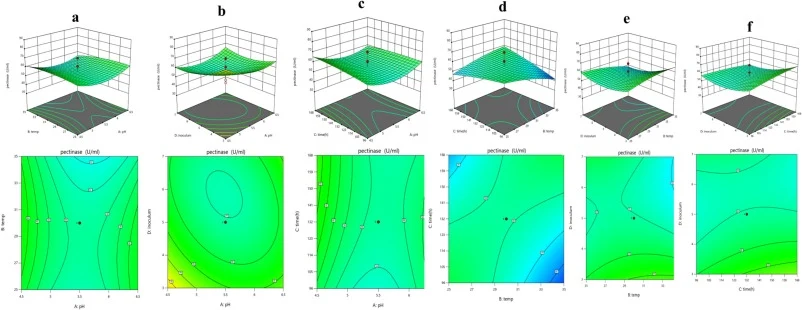 Three-dimensional response surface plots (top panel) and corresponding contour plots (bottom panel) illustrating the interactive effects of process variables on pectinase production by Aspergillus niger. The interactions evaluated include: (a) pH and temperature, (b) pH and inoculum size, (c) pH and