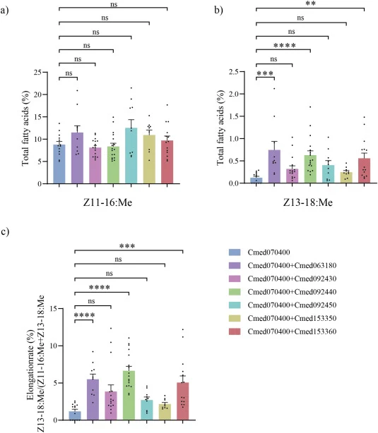 Statistical comparison of Z11–16:acid and Z13–18:acid production and elongation efficiency among different gene combinations in N. benthamiana. a) Production of Z11-16:acid, b) Production of Z13-18:acid, c) Conversion rate of Z11-16:acid to Z13-18:acid in leaves expressing Cmed070400 alone or co-exp