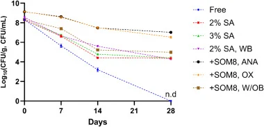Shelf life of B. longum DSM20219 during 4 °C storage for four weeks (Day 0, 7, 14, and 28) under different formulations in aerobic conditions. Data are presented as mean ± standard deviation from n = 3 biological replicates.