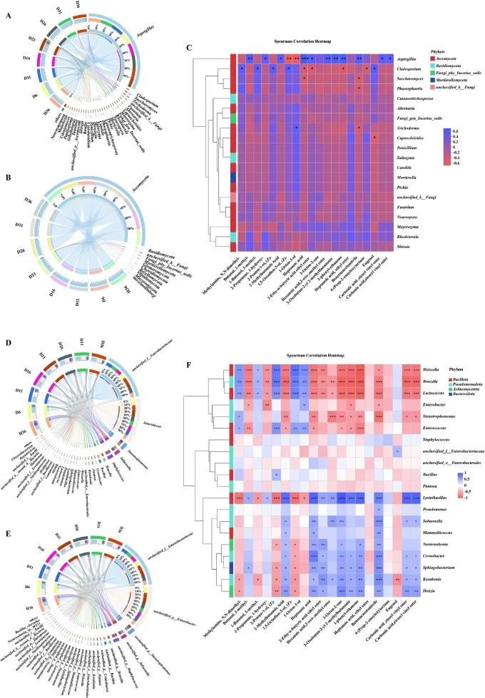 Microbial community succession and its association with flavor metabolites during fermentation. (A) Dynamic composition of fungal communities at the genus level based on ITS sequencing. (B) Fungal community composition at the phylum level. (C) Spearman correlation heatmap between bacterial genera an