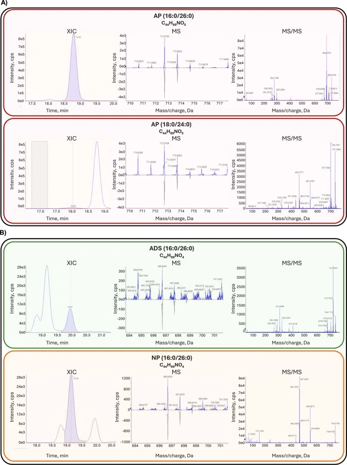 Representative extracted ion chromatograms (XIC), MS, and MS/MS spectra illustrating the necessity of tandem MS for discriminating closely related ceramide species: 2-hydroxy-phytoceramide (AP), 2-hydroxy-dihydroceramide (ADS), phytoceramide (NP). Fragmentations ions are indicated in Supplementary T