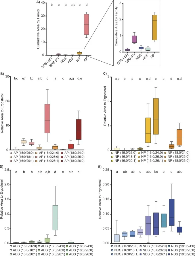 Chain length distribution and relative abundance of ceramide subclasses in the wild type strain. Relative abundances were semi-quantified by normalization to ergosterol. A) Cumulative peak area of all detected species within each ceramide subclass. B-E) Distribution of 2-hydroxy-phytoceramide (AP),