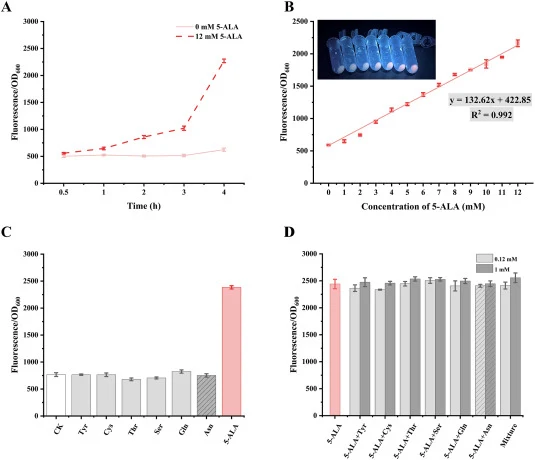 Performance evaluation of the 5-ALA whole-cell biosensor EAC 103 - 3 H. (A) EAC103 - 3H was incubated with 12 mM of 5-ALA solution or water (RSD < 4.64%). (B) The 5-ALA detection range and linear relationship of EAC103 - 3H (R2 = 0.992), and the visual color change of it under a 5-ALA concentration