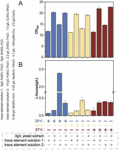 不同培养条件下生物量(A)与L-岩藻糖产量(B)的比较。