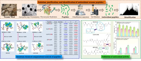 Isolation, identification, and quantum chemical analysis of