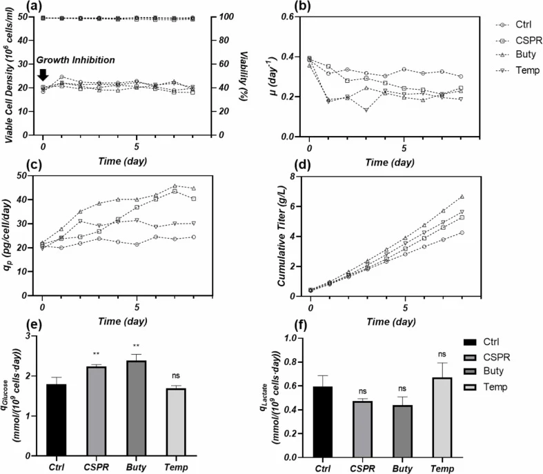 Comparison of cell growth, metabolism, and monoclonal antibody production during the steady‑state phase under moderate growth‑suppression strategies. Day 0 corresponds to the timepoint when growth inhibitory strategies were applied. (a) VCD and viability. (b) Specific growth rate. (c) Specific produ