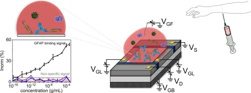 Specific, label-free and real-time sensing of glial fibrilla