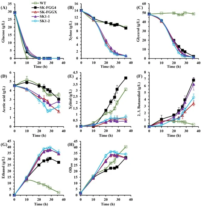 Fermentation profiles of YPGly50Glu30X15A5 medium by native strain D452-2 and engineered strains SK-FGG4, SK-FGGX, SK1-1, and SK1-2. 10 mL cultures were fermented in 100 mL Erlenmeyer flasks with 250 rpm orbital shaking at 30 °C. Glucose consumption (A), xylose consumption (B), glycerol consumption