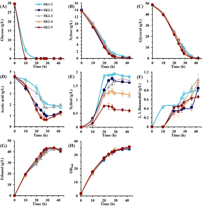 Time course fermentation of YPGly50Glu30X15A5 medium by engineered strains SK1-2, SK2-2, SK2-3, SK2-4, and SK2-5. 20 mL cultures were fermented in 100 mL Erlenmeyer flasks with 250 rpm orbital shaking at 30 °C. Glucose consumption (A), xylose consumption (B), glycerol consumption (C), acetic acid (D