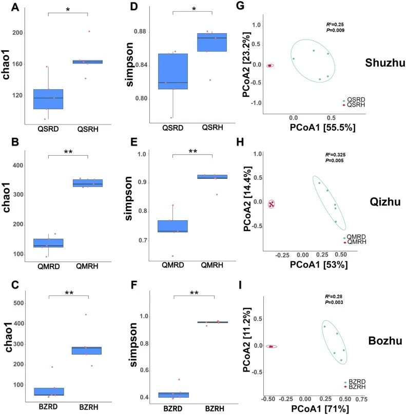 Diversity analyses of the fungal microbiome in diseased (RD) and healthy (RH) rhizomes of A. macrocephala from three production areas. (A–C) Chao1 index, (D–F) Simpson index, and (G–I) Principal coordinates analysis. “Shuzhu”, “Qizhu”, and “Bozhu” indicates A. macrocephala from Qianshan County (QS),