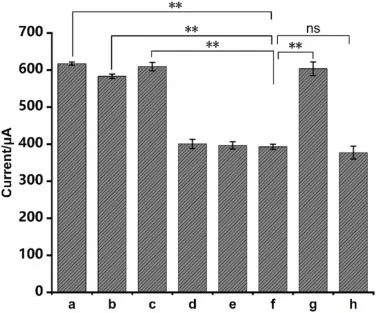 DPV response of the biosensor to S. typhimurium (a), flexneri (b), EHEC O157:H7 (c), S. aureus (d), E. coli K12 (e), matrix control (f), E. coli K12-SPI1 (g), and blank control (h). The concentration of each type of bacteria was 2.8 × 107 CFU/mL. Data are presented as the mean ± SD, n = 3.