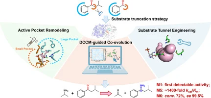 Semi-rational design of an (S)-selective ω-transaminase for