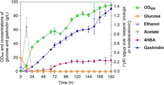 Fed-batch fermentation of strain GAS36 for gastrodin production. Fed-batch fermentation was conducted at a working volume of 1.8 L in a 5-L bioreactor. Glucose feeding was initiated after depletion of the initial 20 g/L glucose and maintained to keep residual glucose below 0.5 g/L. Time profiles of