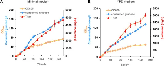 Fed-batch fermentation of the prototrophic strain YY-100U. Delft (A) or YPD (B) medium was used to culture the strain, and Delft minimal (A) or YPD (B) medium containing 500 g/L glucose was fed after all the glucose had been consumed. The cell cultivated in YPD stopped growing at 216 h and thus had