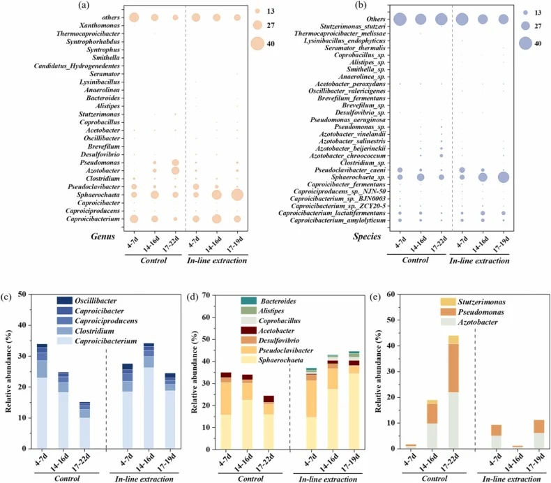 The microbial community composition for the control group and with in-line extraction group at the genus (a) and species (b) level; their abundance of CE bacteria (c), collaborative bacteria capable of oxidizing lactate or producing SCFAs (d) and stress-resilient bacteria under product accumulation
