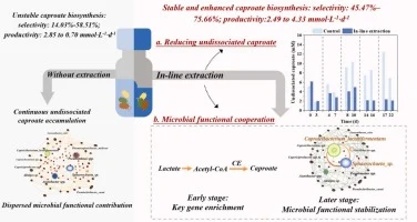In-line extraction coupled with selective ion-exchange resin