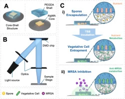 Bioprinted core-shell living material platform for spatially