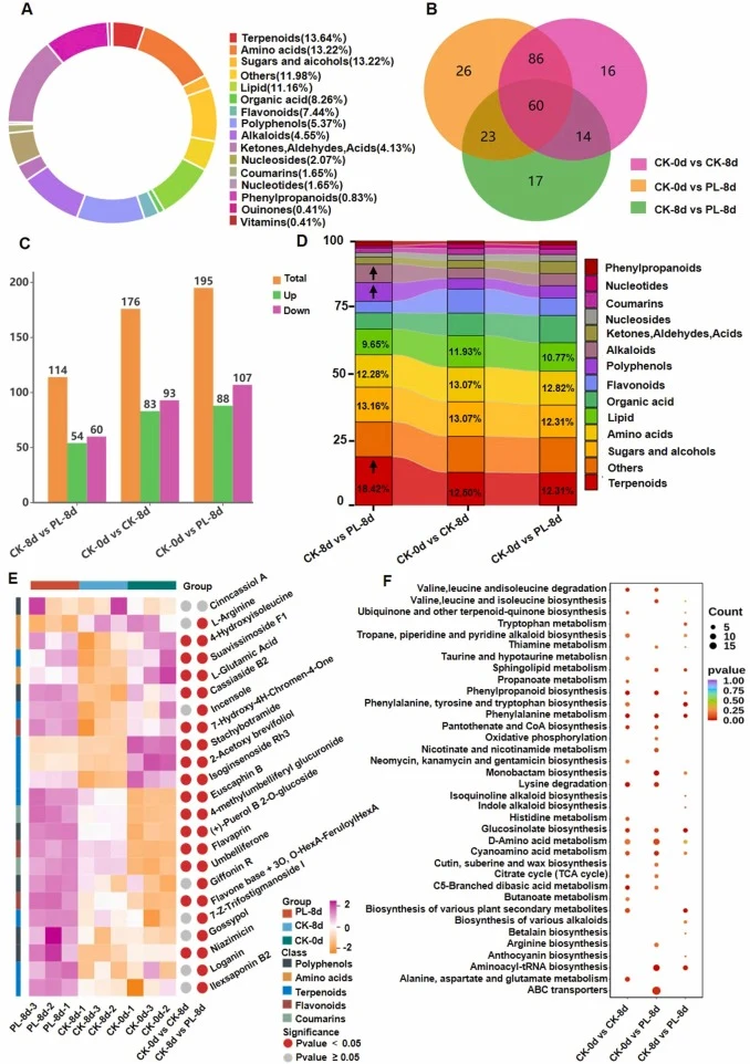 Metabolomics analysis. (A) Categorization and distribution of different metabolites in the CK-0d, CK-8d and PL-8d. (B) Three sets of DAMs Venn diagrams. (C) Number of upregulated and downregulated DAMs in the CK-0d vs CK-8d, CK-0d vs PL-8d, and CK-8d vs PL-8d groups. (D) Stacked bar plots of the pro
