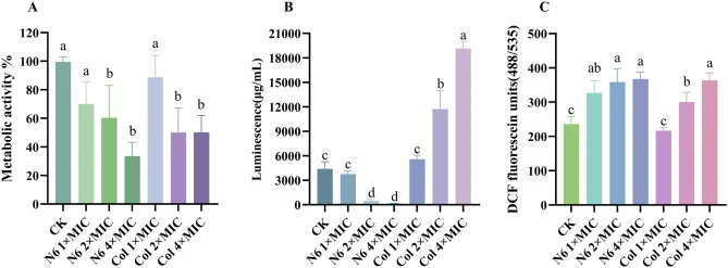 Effects of N6 on metabolic activity of K. pneumoniae. In all panels: CK, blank control; N6, N6 treatment group; Col, colistin treatment group. 1×, 2×, and 4× MIC denote 1, 2, and 4 fold the minimum inhibitory concentration, respectively. Different letters (a-d) mark significant differences. (A) Bact