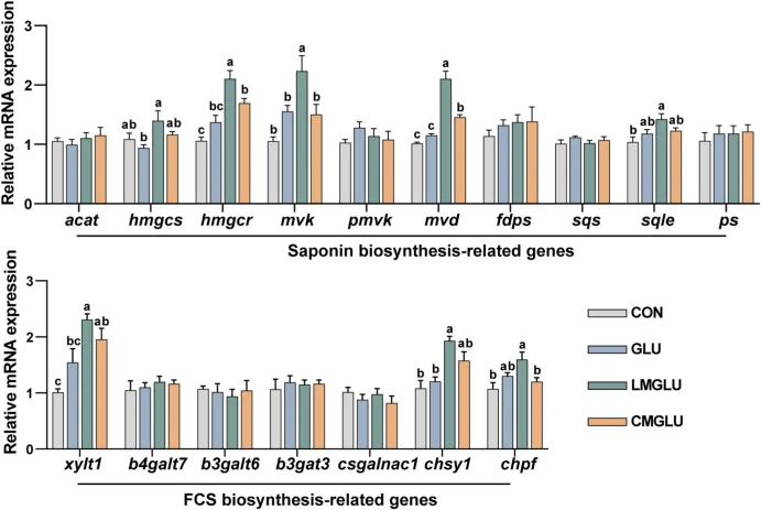 Expression profiles of genes related to saponin and FCS biosynthesis. Values are expressed as mean ± standard error of the mean (n = 3). acat, acetyl-CoA C-acetyltransferase; hmgcs, hydroxymethylglutaryl-CoA synthase; hmgcr, hydroxymethylglutaryl-CoA reductase; mvk, mevalonate kinase; pmvk, phosphom