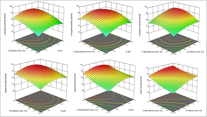 3D surface plots coupled with contour plots showing combined effect of (A) pH and Inducer conc. on α-amylase activity (B) pH and Yeast extract conc. on α-amylase activity (C) Inducer conc. and Yeast extract conc. on α-amylase activity (D) pH and Inducer conc. on lipase activity (E) pH and Yeast extr