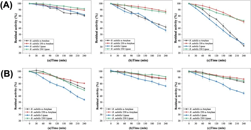 (A) α-淀粉酶和脂肪酶在(a) 50 °C、(b) 60 °C和(c) 70 °C下的热稳定性测定;(B) α-淀粉酶和脂肪酶在(a) pH 6、(b) pH 7和(c) pH 8下的pH稳定性测定。