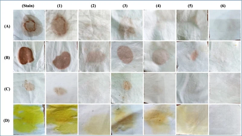 Stain removal abilities of (1) Tap water, (2) Tap water + detergent, (3) Tap water + α-Amylase, (4) Tap water + Lipase, (5) Tap water + α-Amylase + Lipase, (6) Tap water + α-Amylase + Lipase + Detergent for four stains (A) Chocolate, (B) Tomato sauce, (C) Dirt, and (D) Gravy.