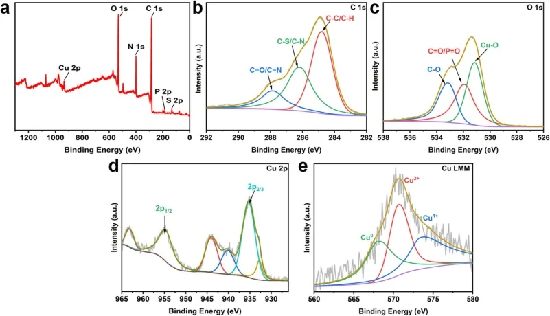 XPS full scan spectrum (a) and spectral fitting of C 1 s (b), O 1 s (c), Cu 2p (d) and Cu LMM (e) for Cu-BSA@COF.