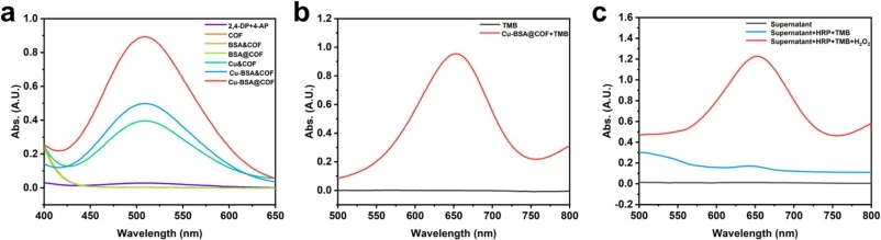 UV–Vis spectra of color reactions of 2,4-DP (a) and TMB (b) in the presence of the various substance, as well as typical oxidase activity experiments of Cu-BSA@COF (c).