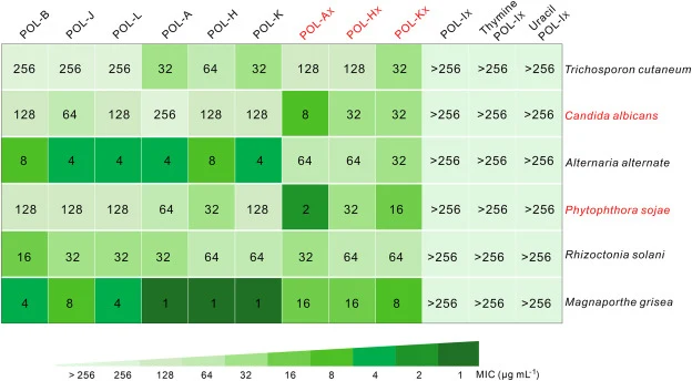MIC analysis of natural POLs and related POL analogs. Trichosporon cutaneum, Candida albicans, Alternaria alternate, Phytophthora sojae, Rhizoctonia solani, and Magnaporthe grisea were selected as the indicator strains. The different shades of green color represent MIC of natural POLs and POL analog