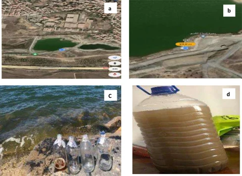 Geographical study location site is located (a) Sampling point (b) photos of sampling (c), (d)