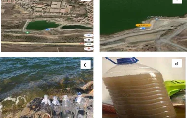 基于陶瓷沉积物微生物燃料电池的溶解氧生态传感器研发