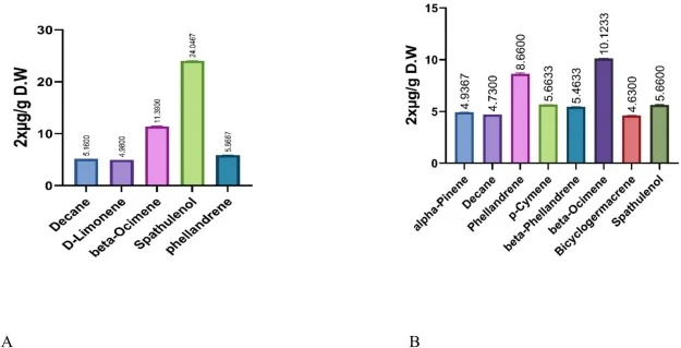 不同时期的扁枝桉(E. platyloba)萜烯含量,包括生殖叶(A)和营养叶(B)。数值为三次生物学重复的平均值,误差棒表示三次生物学重复平均值的标准误(SEM)。