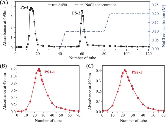 Elution curve of polysaccharide purified by DEAE-cellulose DE-52 chromatography (A) and Sephadex G-100 chromatography (BC).