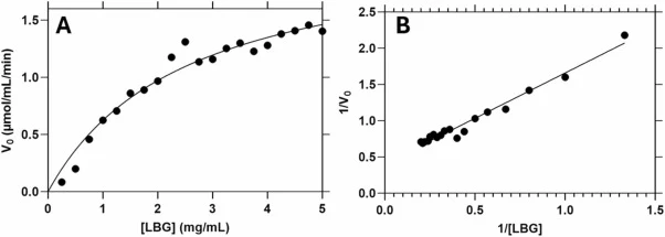 在最佳温度（62 °C）和最佳pH（3.9）下测定了AnMan5A-like的动力学参数。使用浓度为0.25至5.00 mg/mL的LBG，根据Michaelis–Menten模型进行分析。将数据与初始反应速率（A）相关联，并