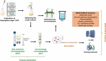 Biochemical characterization and catalytic features of a GH5