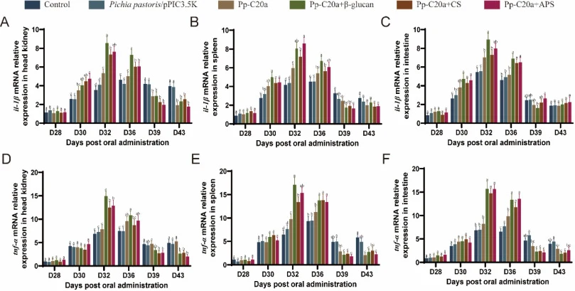 mRNA relative expression of inflammatory cytokines in tissues. (A-C) Relative expression of il-1β in (A) head kidney, (B) spleen, and (C) intestine. (D-F) Relative expression of tnf-α in (D) head kidney, (E) spleen, and (F) intestine. Samples were collected at days post oral administration, with the
