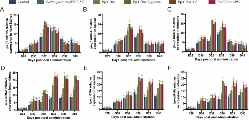 mRNA relative expression of cellular and humoral immune genes in tissues. (A-C) Relative expression of ifn-γ2 in (A) head kidney, (B) spleen, and (C) intestine. (D-F) Relative expression of igm in (D) head kidney, (E) spleen, and (F) intestine. Samples were collected at days post oral administration