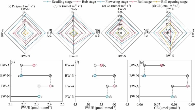 (a-d) Changes of cotton Pn, Tr, Gs and Ci under different treatments. (e-g) mean iWUE, IWUE and CE during the cotton growing season. Note: Pn is net photosynthetic rate. Tr is transpiration rate. Gs is stomatal conductance. Ci is intercellular CO₂ concentration. iWUE is instantaneous water use effic