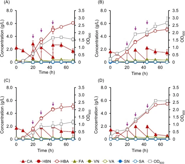 HBA production profiles of NGC704 (A, B) and NGC7194 (C, D) using mock CBAE (A, C) and CBAE (B, D) in fed-batch mode. NGC704 and NGC7194 were separately shake-cultured in MMx-3 containing 15 mM aromatics derived from mock CBAE or CBAE (30°C, 180 rpm). Small portions of mock CBAE or CBAE were added t
