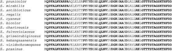 OEPs第11组前体肽的氨基酸序列比对,粗体字母表示保守氨基酸。
