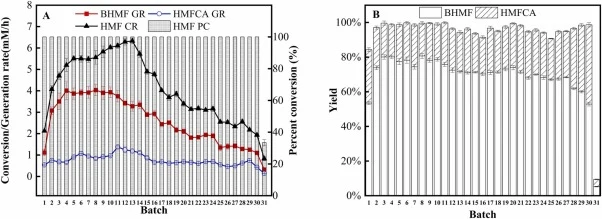 Catalytic efficiency of regenerated A. niger M13 cells. (A) Percent conversion and conversion rate of HMF and the generation rates of BHMF and HMFCA. (B) Product yields.