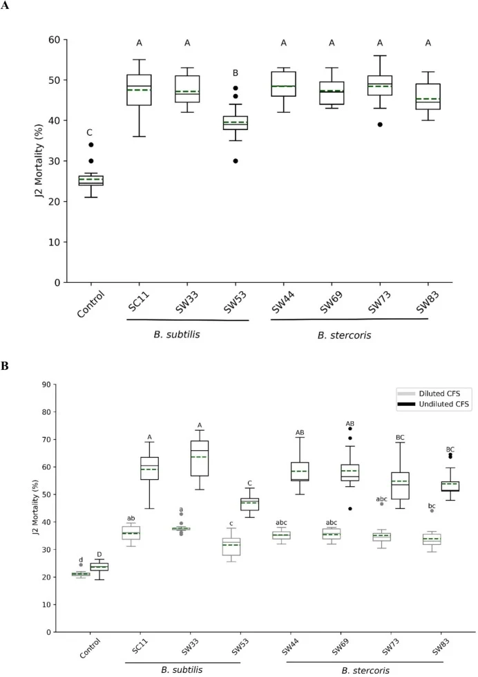 Nematicidal activity of Bacillus isolates (A) Effect of living bacteria cells (LBC) on Heterodera schachtii J2; (B) Effect of cell-free supernatant (CFS) on H. schachtii J2. Results are expressed in a boxplot as median (black line) with 25%- and 75%-quartile additionally including the arithmetic mea