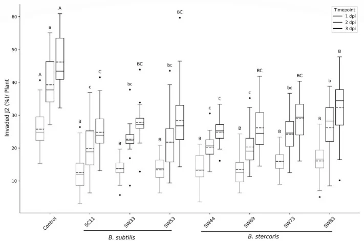 Effect of living bacterial cells (LBC) of Bacillus isolates on the invasion rate of Heterodera schachtii J2 into the roots of Arabidopsis thaliana 1, 2, and 3 days post inoculation (dpi). Results are expressed as the mean (green dashed line) and median (black line) with 25%- and 75%-quartile of thre