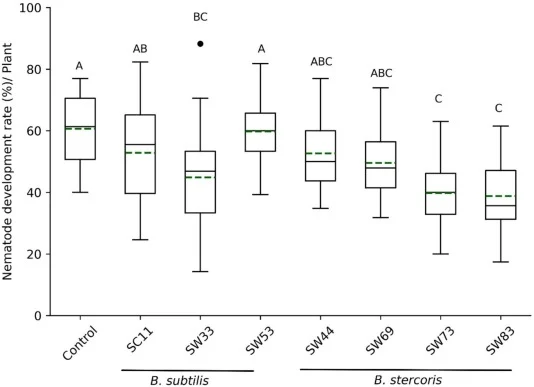 Effect of living bacterial cells (LBC) Bacillus isolates, on the ratio of development of Heterodera schachtii J2 into the adult male and female at Arabidopsis thaliana. Results are expressed as the mean (green dashed line) and median (black line) with 25%- and 75%-quartile of three independent biolo