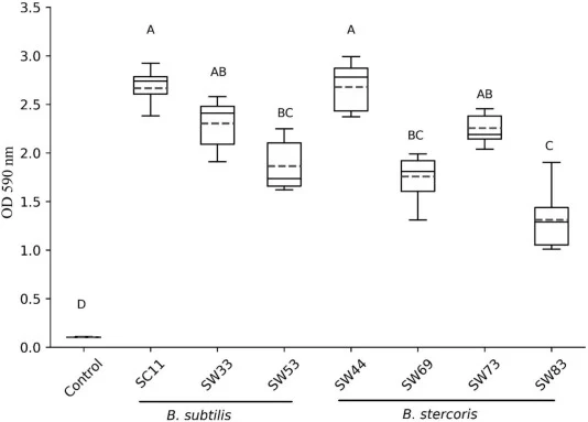 Biofilm mass quantification for Bacillus isolates measured in 200 µl at 590 nm. Results are expressed as the mean (green dashed line) and median (black line) with 25%- and 75%-quartile of three independent biological replicates with total n = 9; Different letters indicate statistically significant d