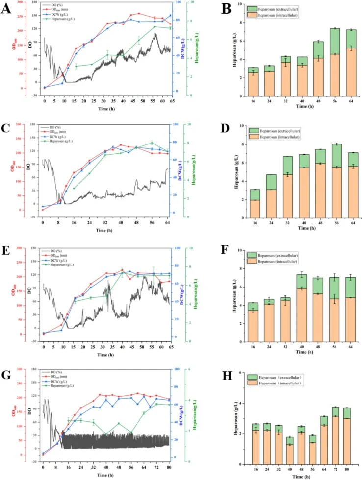 Heparosan biosynthesis in fed-batch culture. (A/B) Constant rate fed-batch culture. (C/D) Variable rate fed-batch culture. (E/F) Pulse fed-batch culture. (G/H) DO-stat fed-batch culture. DO (gray), OD600 (red), DCW (blue) and total heparosan (green). The above values are plotted as mean ± SD.