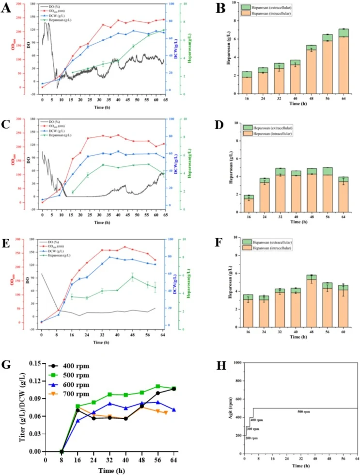 Optimization of agitation speed in the fermentation process. (A/B) 400 rpm. (C/D) 600 rpm. (E/F) 700 rpm. Where DO (gray), OD600 (red), DCW (blue) and total heparosan (green). (G) Heparosan titer / DCW ratio was achieved at different agitation speed after induction by IPTG. (H) Optimum agitation spe